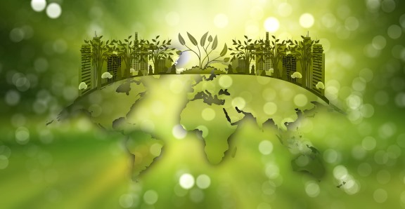 6. environmental authorization – nature-reserve-6739847_1920